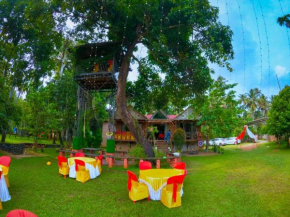 Cijo's HUT and TREE HOUSE